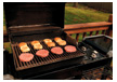 Green Barbeque (BBQ) Grill Cleaning Service